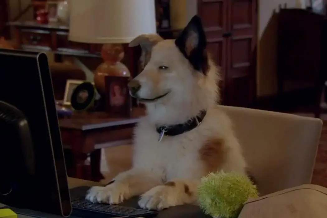 I LOVE DOG WITH A BLOG FUCKING KILL YOURSELF!!!!!!!!!!
